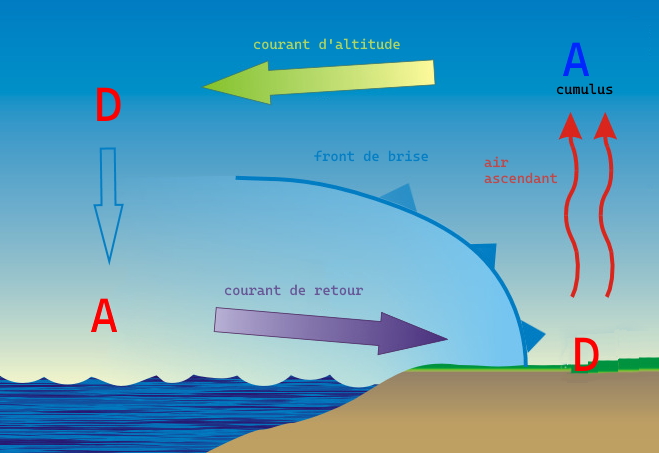ascendance et brise thermique