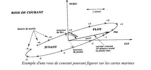 rose de courant